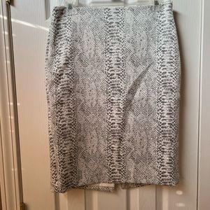 Ann Taylor skirt